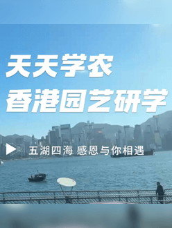 与香港园艺学会联合举办香港园艺研学，专业园境师带队讲解。