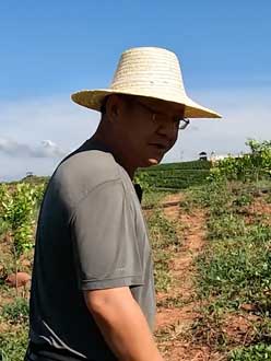 农业人叶涛，50多岁通讯人跨界搞农业，他要用1000万打造一个梦。