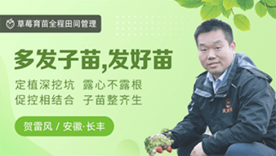 多发子苗，发好苗